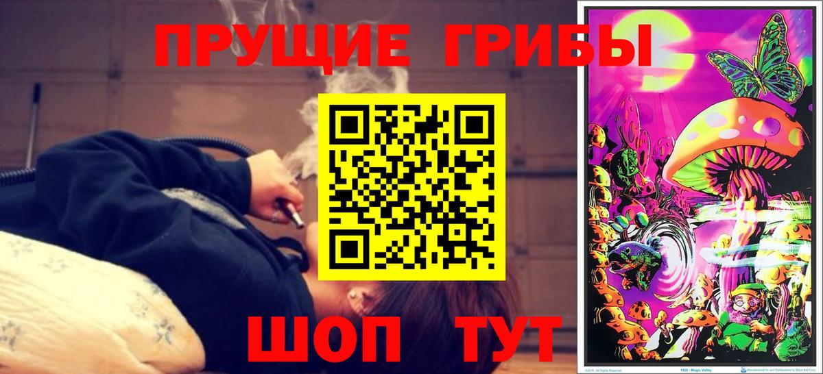 Протвино  Псилоцибиновые грибы Psilocybe  Псилоцибиновые грибы прущие грибы  Вход с VPN 