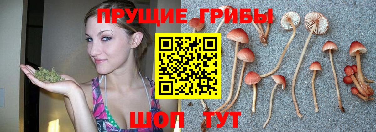 Галлюциногенные грибы GOLDEN TEACHER Протвино